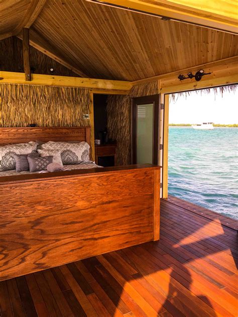 Tiki suites - The Tiki Suite, as the hosts refer to it, is listed for $578 a night and is intended to provide ocean glamping space for two guests. It features a king bed, a bathroom, and all you will need for a glamping experience, albeit one surrounded on all sides by beautiful clear blue ocean water.